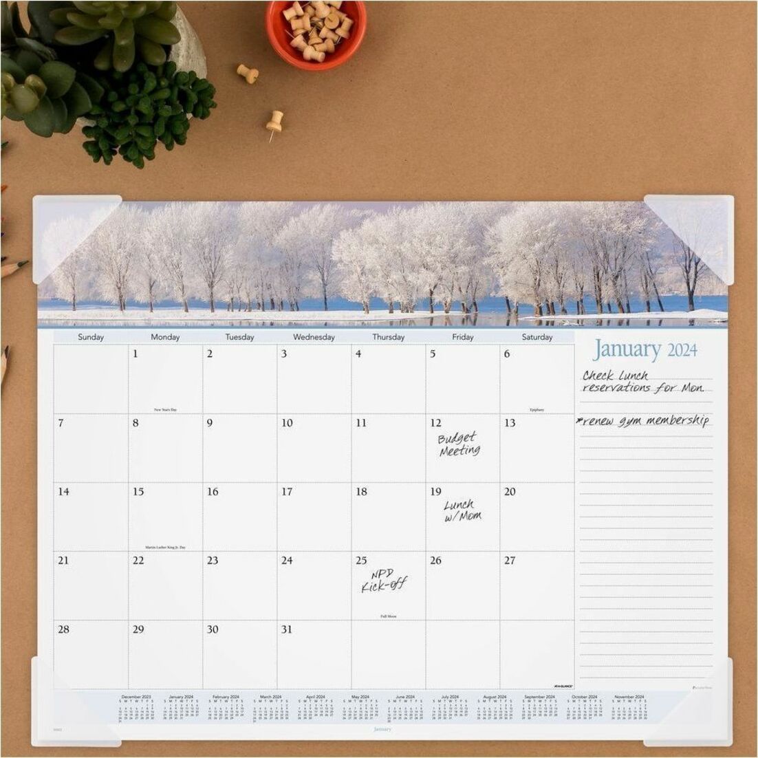 At-A-Glance Panoramic Landscape Desk Pad