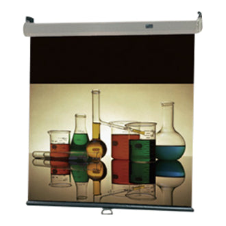 Draper Luma 2 Manual Projection Screen