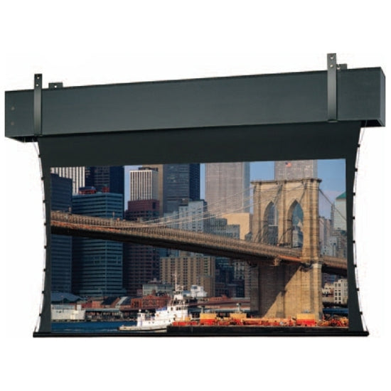 Da-Lite Tensioned Professional Electrol 298" Electric Projection Screen