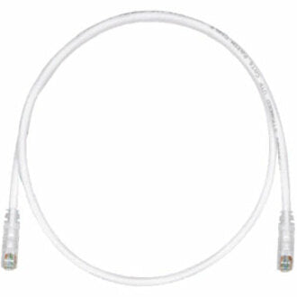 5FT CAT6 OFF WHT COPPER