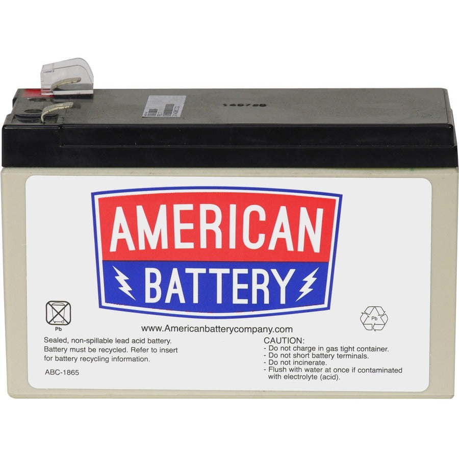 RBC2 REPLACEMENT BATTERY PK