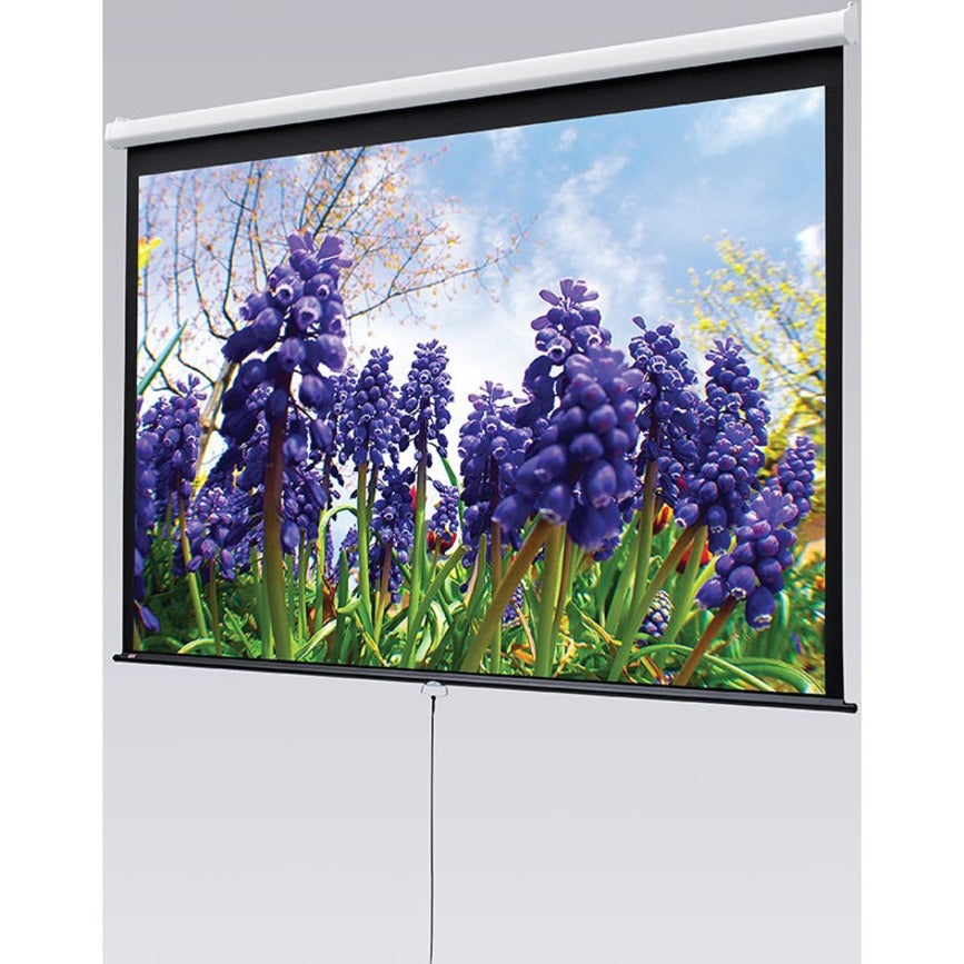 Draper Luma 85" 16:10 Matt White XT1000E