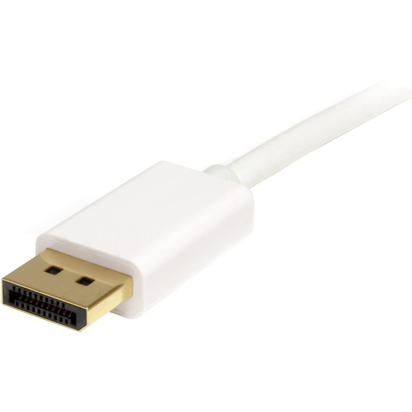 StarTech.com 2m (6ft) Mini DisplayPort to DisplayPort 1.2 Cable 4K x 2K mDP to DisplayPort Adapter Cable Mini DP to DP Cable for Monitor