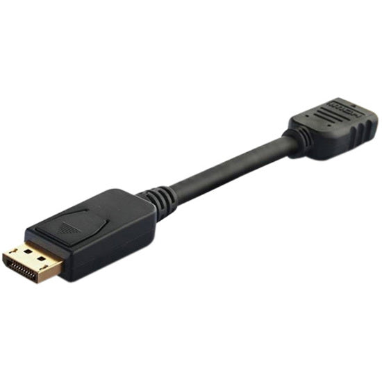10IN DISPLAYPORT MALE TO