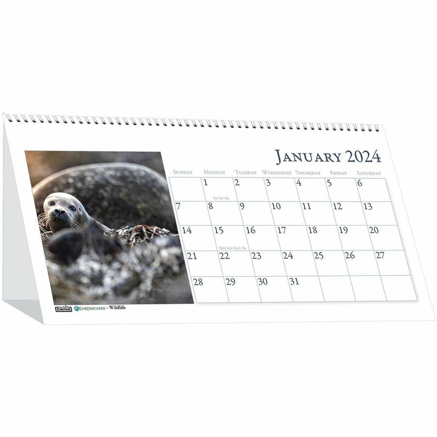 House of Doolittle Wildlife Photo Desk Top Tent Calendars