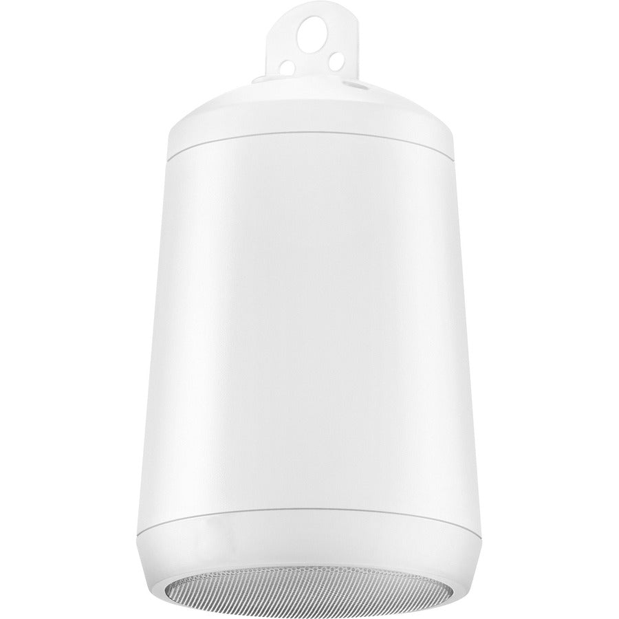 PENDANT MOUNT SATELLITE SPKER