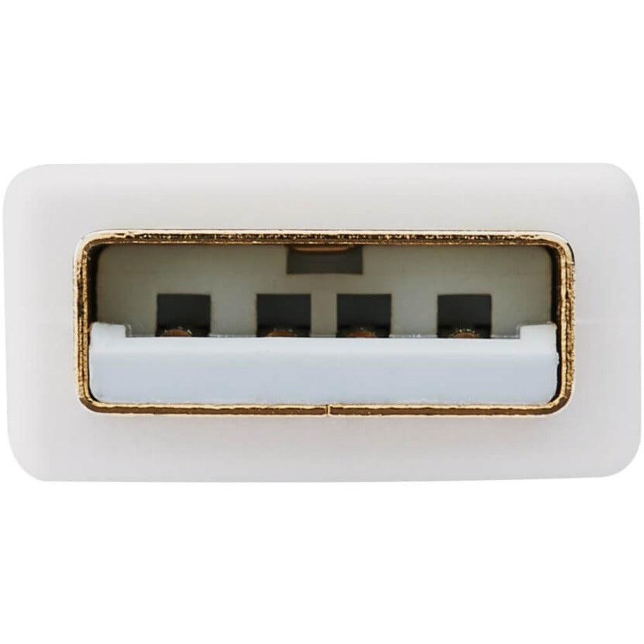 Tripp Lite DisplayPort to DVI Dual-Link Active Adapter Video Converter (M/F) 6-in. (15.24 cm)