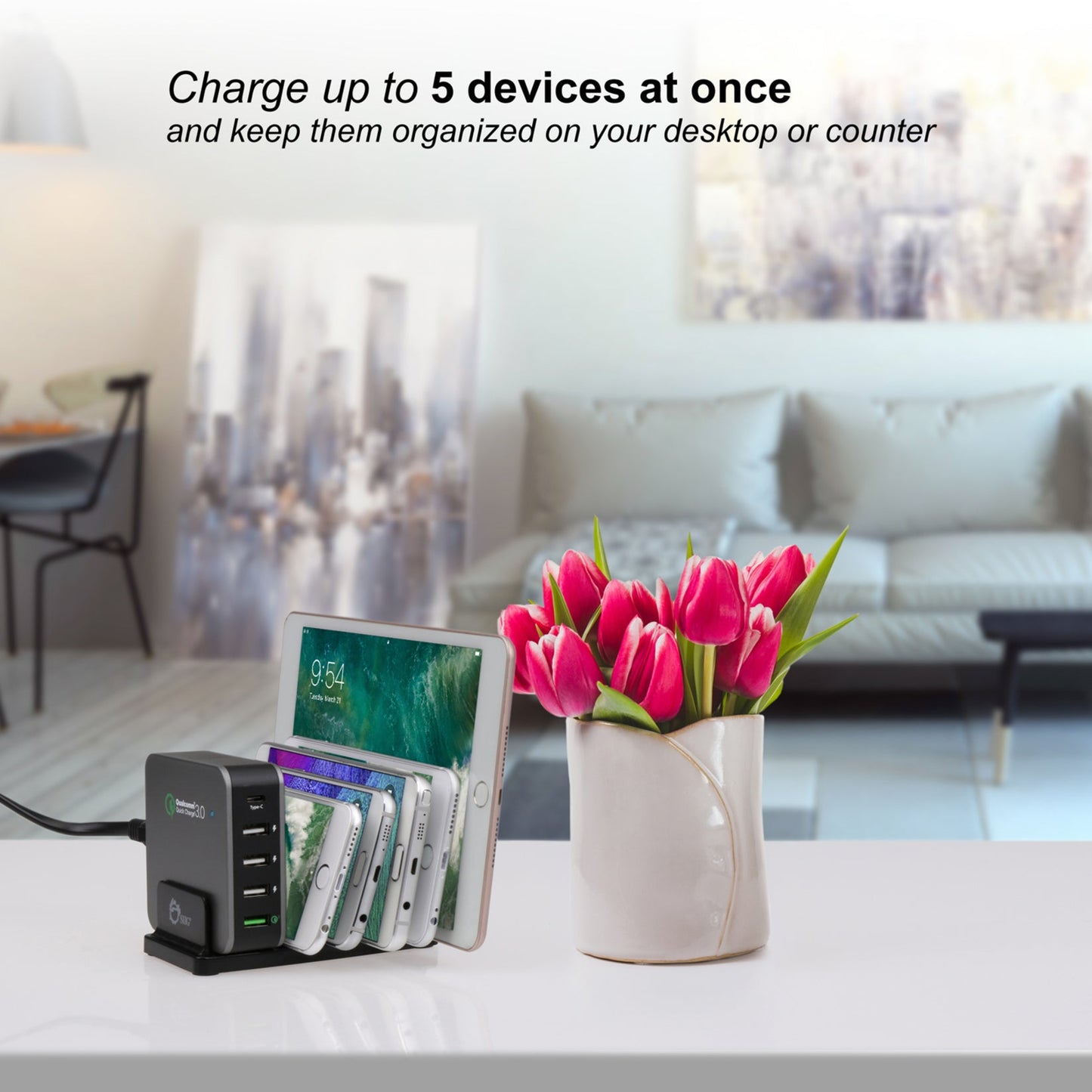 SIIG 5-Port Smart USB Charger plus Organizer Bundle with QC3.0 & USB-C - Black