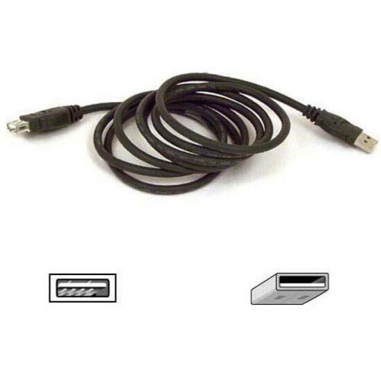 6FT USB A/A EXTENSION CABLE
