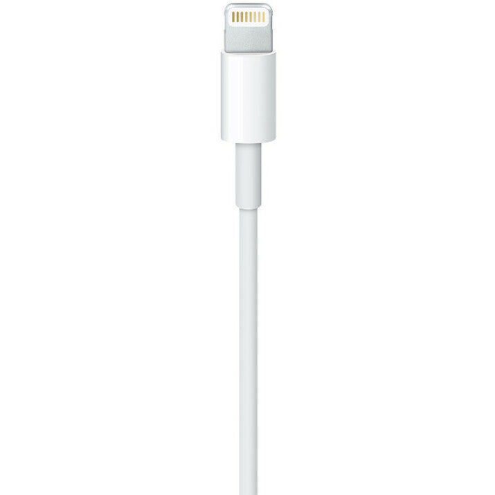 Apple Lightning to USB Cable (1 m)