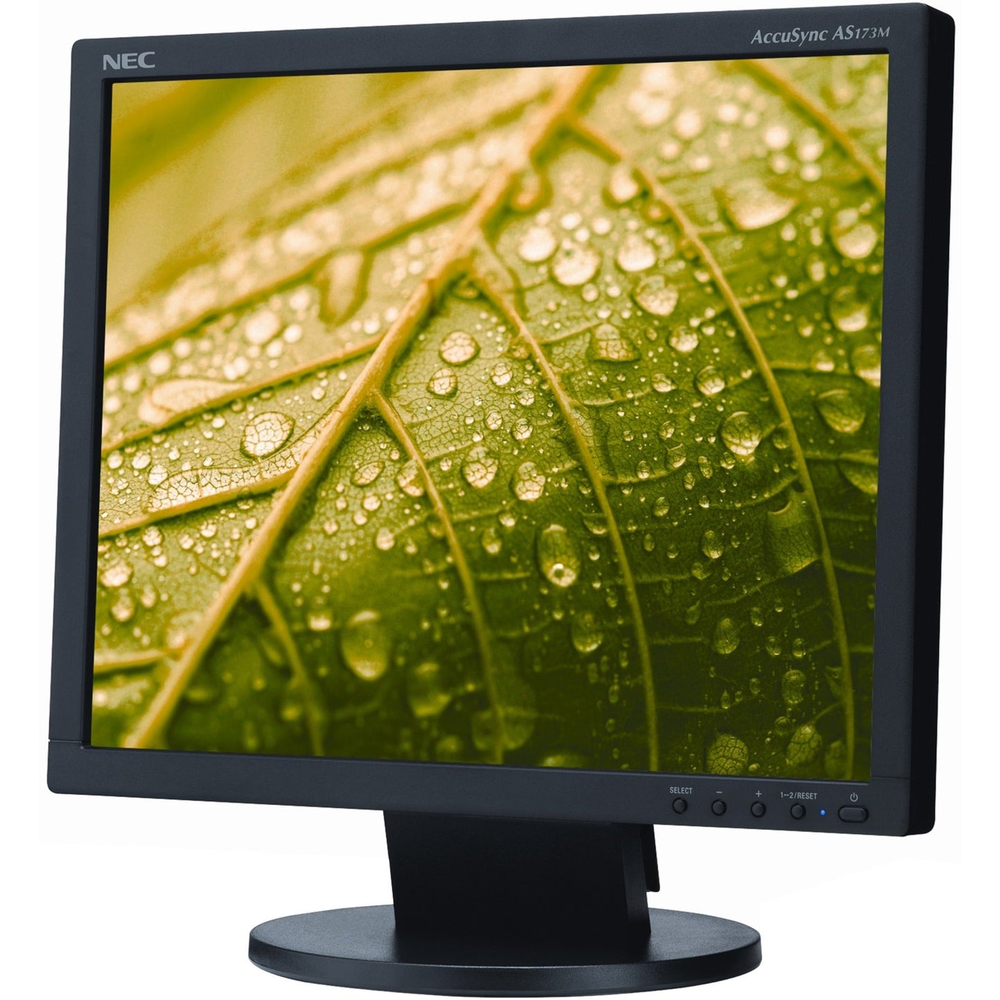 NEC Display AccuSync AS173M-BK 17" SXGA LCD Monitor - 5:4