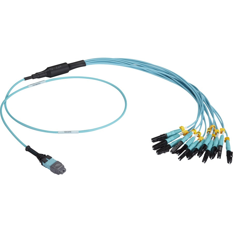 Black Box MTP OM3 Fiber Optic Harness Cable - Plenum 12-Strand