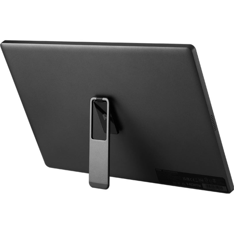 MSI Pro MP161 15.6" Full HD LCD Monitor - 16:9