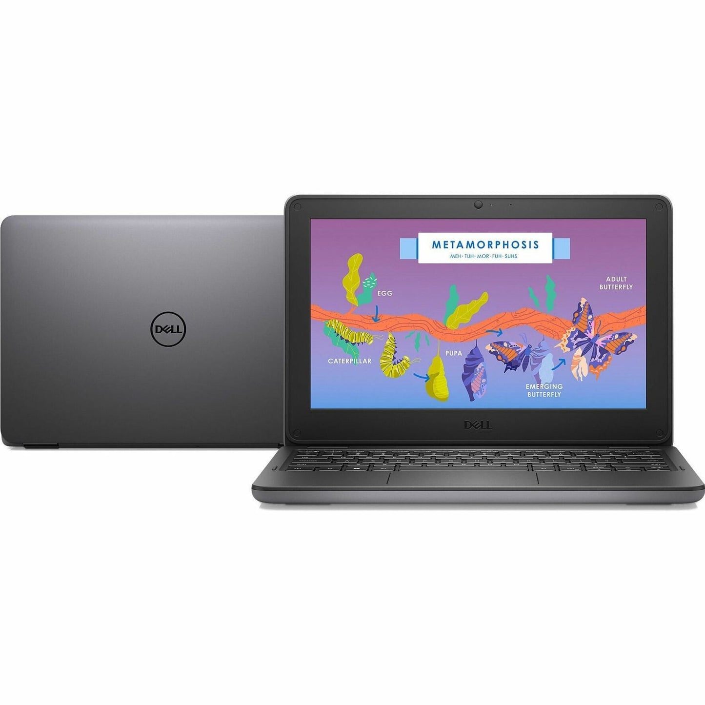 Dell Latitude 3000 3140 11.6" Convertible 2 in 1 Notebook - HD - 1366 x 768 - Intel N100 Quad-core (4 Core) - 4 GB Total RAM - 4 GB On-board Memory - 64 GB Flash Memory