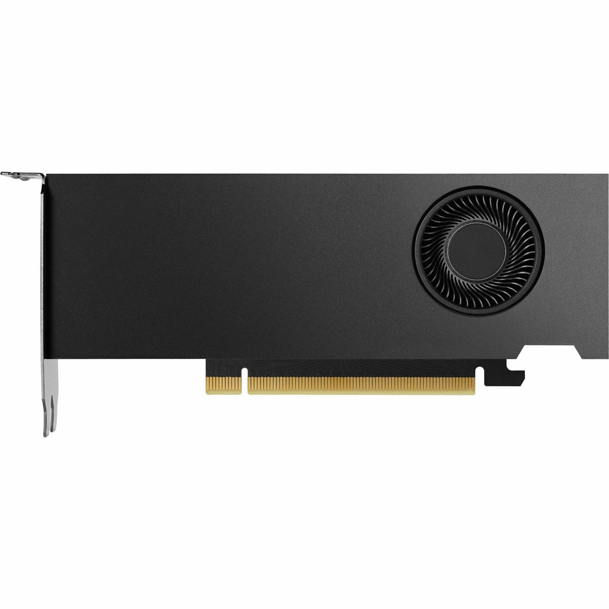 PNY NVIDIA RTX 4000 Graphic Card - 20 GB GDDR6 - Low-profile