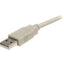 StarTech.com USB extension Cable - 4 pin USB Type A (M) - 4 pin USB Type A (F) - 1.8 m