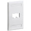 1PK 2PORT ELECTRIC IVORY       