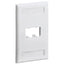1PK FACEPLATE 2PORT SINGLE GANG