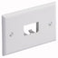 PANDUIT 2 Socket Mini-Com Classic Faceplate