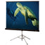 Draper Diplomat/R Projection Screen