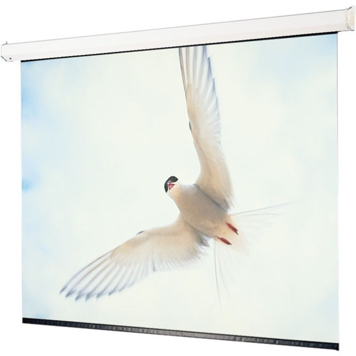 Draper Targa Electrol Projection Screen