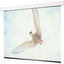 Draper Targa Electrol Projection Screen