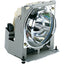 REPLACEMENT LAMP MODULE FOR    