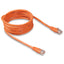 Belkin Cat. 5e UTP Network Patch Cable