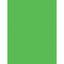 Pacon Neon Multipurpose Paper - Green