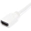 StarTech.com Mini DVI to HDMI® Video Adapter for Macbooks® and iMacs®- M/F