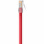 25FT CAT6 RED UTP RJ45 M/M     