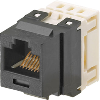 NETKEY CAT6 8POSITION 8WIRE BLK