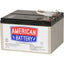 RBC5 REPLACEMENT BATTERY PK    