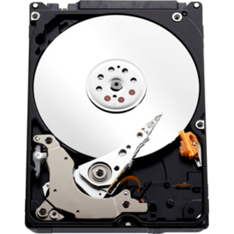 WD Blue WD2500BPVT 250 GB Hard Drive - 2.5" Internal - SATA (SATA/300)