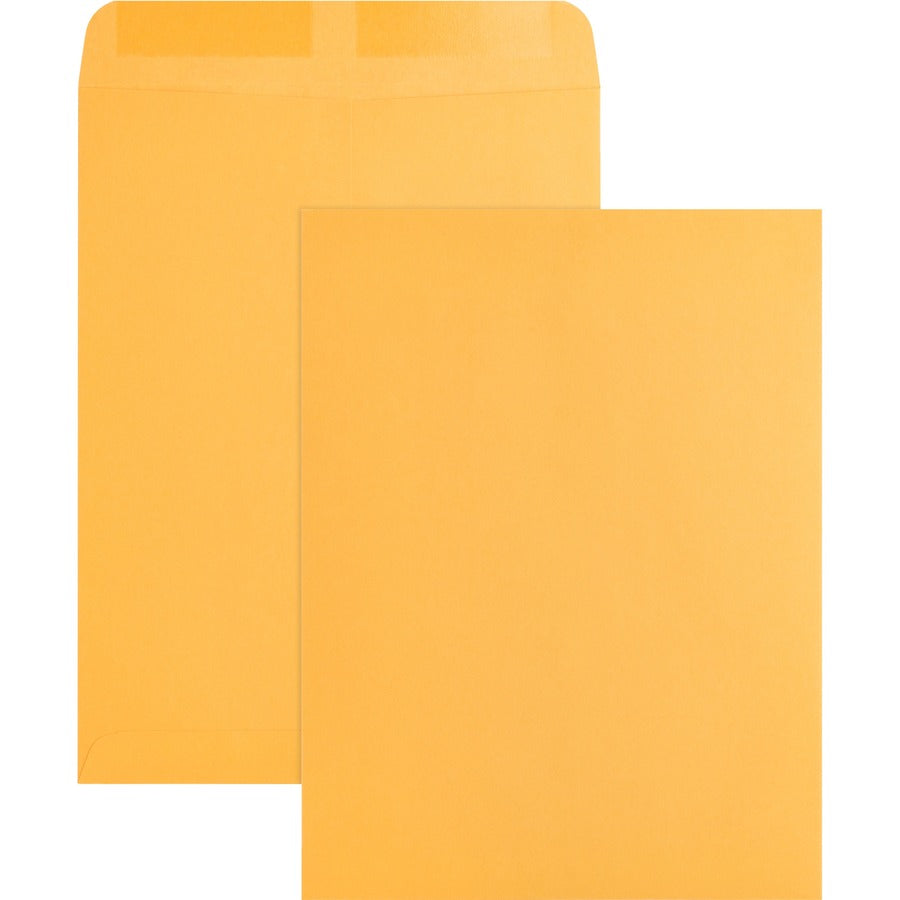 Business Source Kraft Gummed Catalog Envelopes