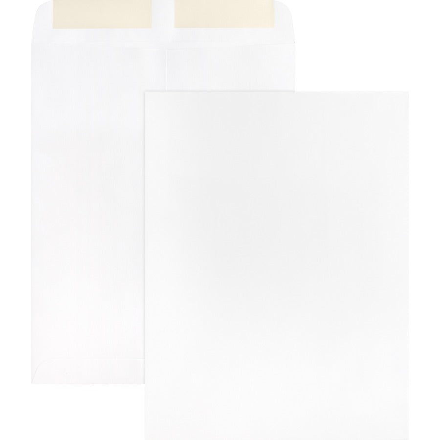 Business Source 28 lb. White Catalog Envelopes