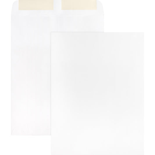 Business Source 28 lb. White Catalog Envelopes