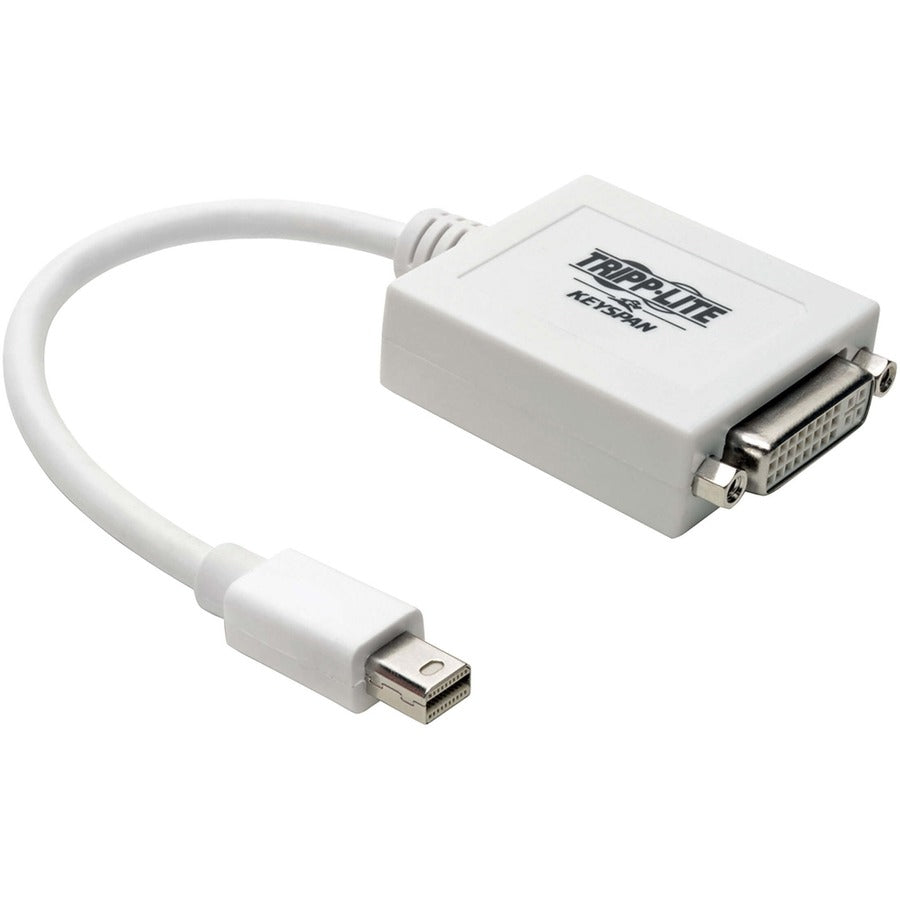 Tripp Lite Keyspan Mini DisplayPort to DVI Adapter Video Converter for Mac/PC White (M/F) 6-in. (15.24 cm)