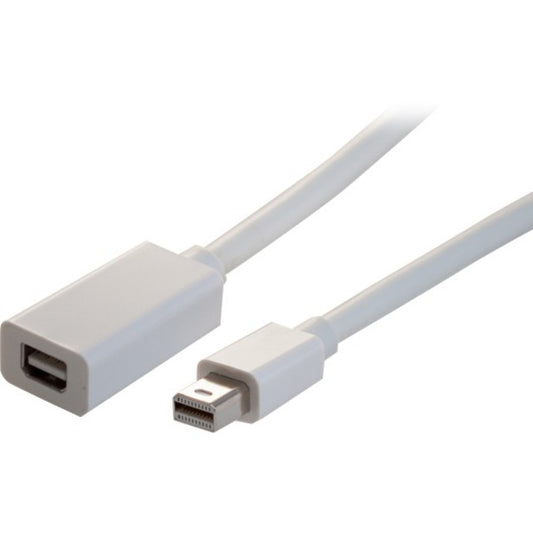 3FT MINI DISPLAYPORT EXTENSION 