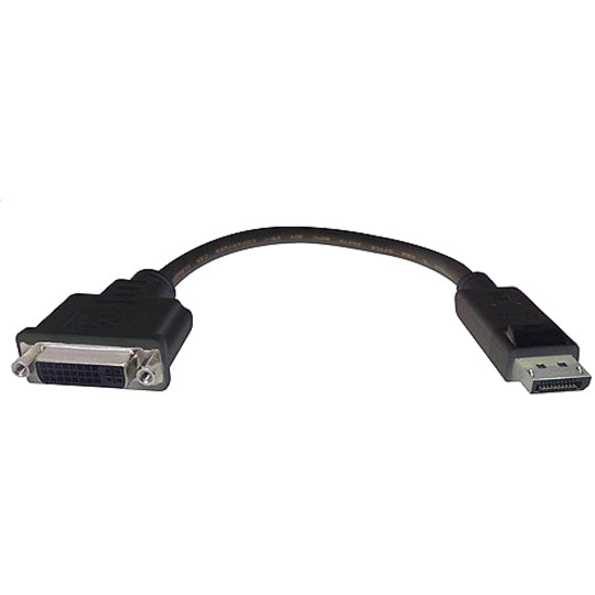 8IN DISPLAYPORT M TO DVIF CABLE