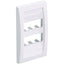 Panduit CFPE6WHY Faceplate