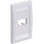 Panduit Executive CFPE2BLY Faceplate
