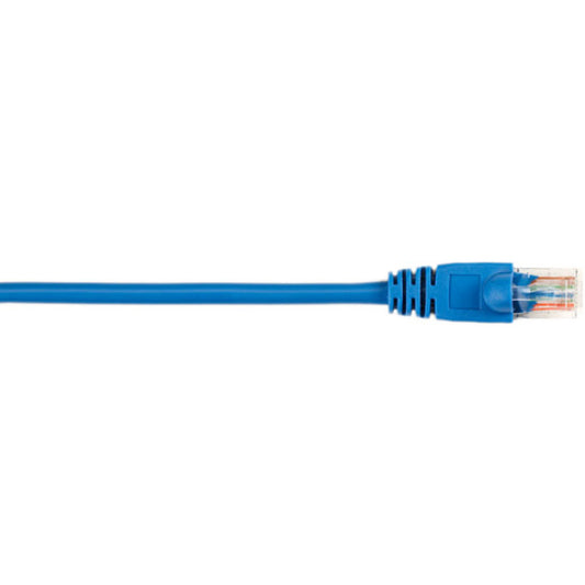 1FT BL 10-PK CAT5E 100MHZ ETHER