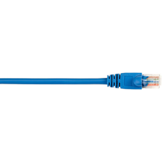 5FT BL 5-PK CAT5E 100MHZ ETHERN