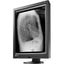 EIZO RadiForce GX240-CL-P 21.3