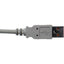 Brainboxes USB Type A plug to A receptacle 0.25m Cable for US-101/324