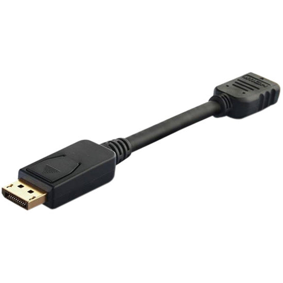 10IN DISPLAYPORT MALE TO       