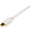 10FT MINI DISPLAYPORT TO DVI   