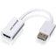 DISPLAYPORT TO HD ADAPTER      