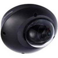 GeoVision GV-MFD2401-1F 2 Megapixel Network Camera - Color Monochrome - Dome